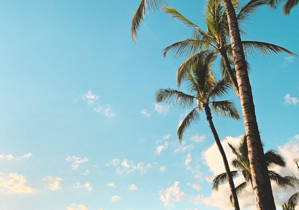 Trips To Hawaii:  Getting There Without Going Broke